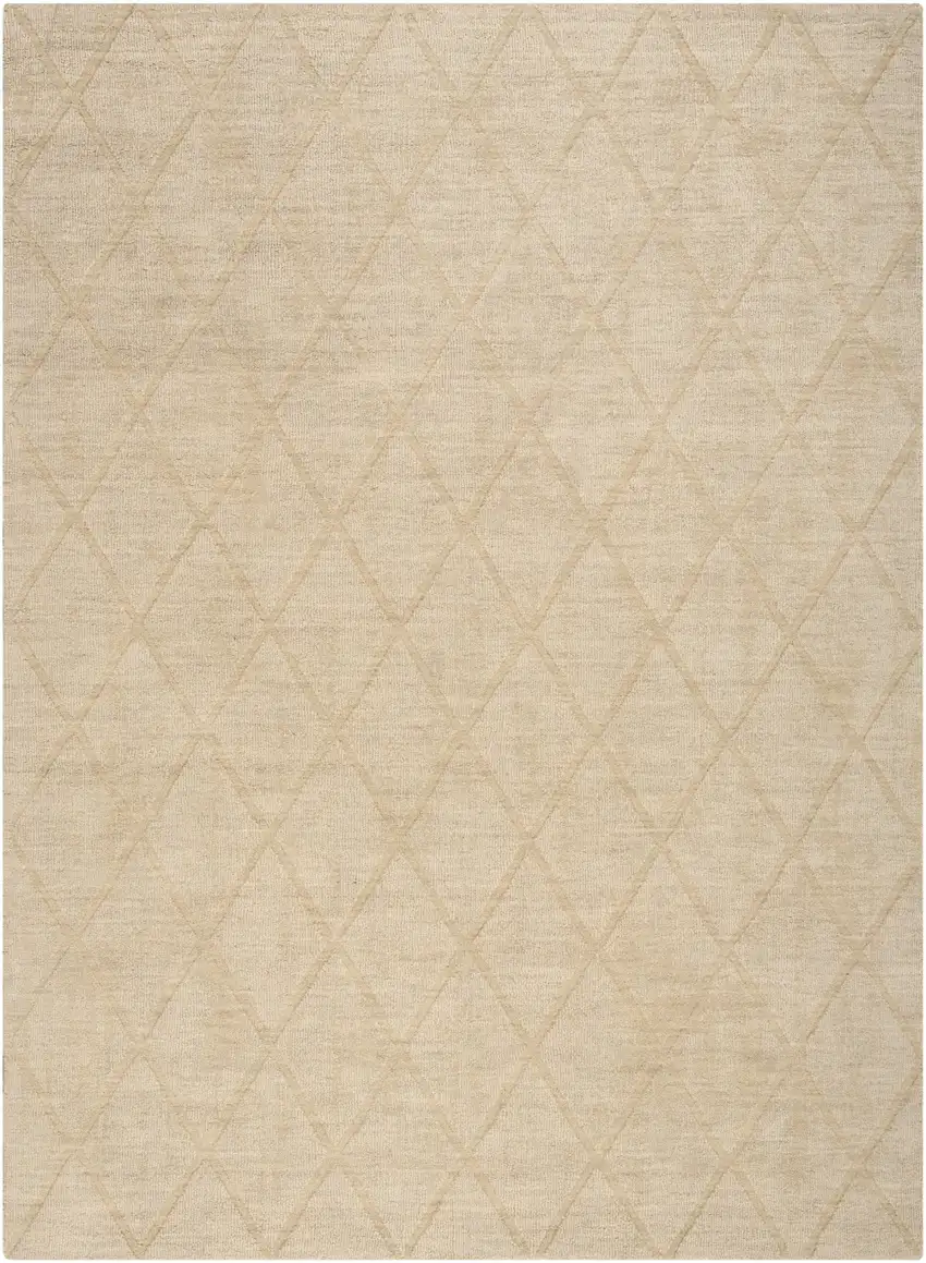 Beige Wool Geometric Area Rug Photo 5