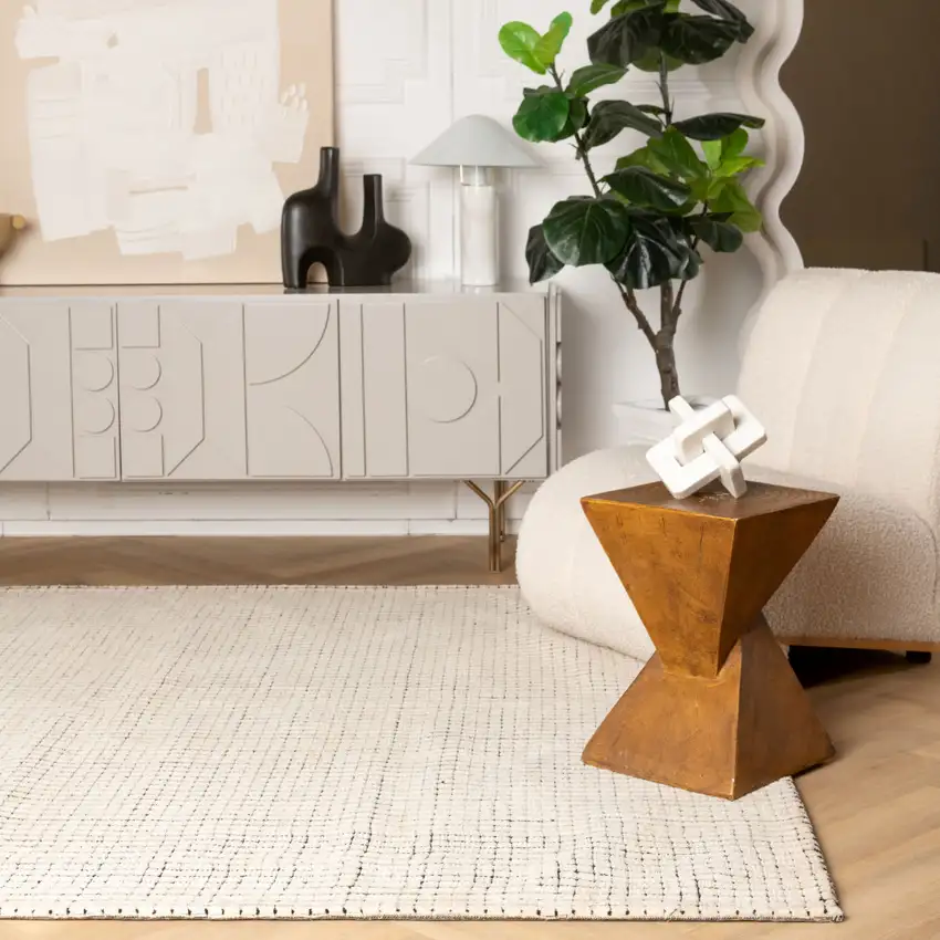 Beige and Black Checkered Power Loom Distressed Area Rug Photo 5