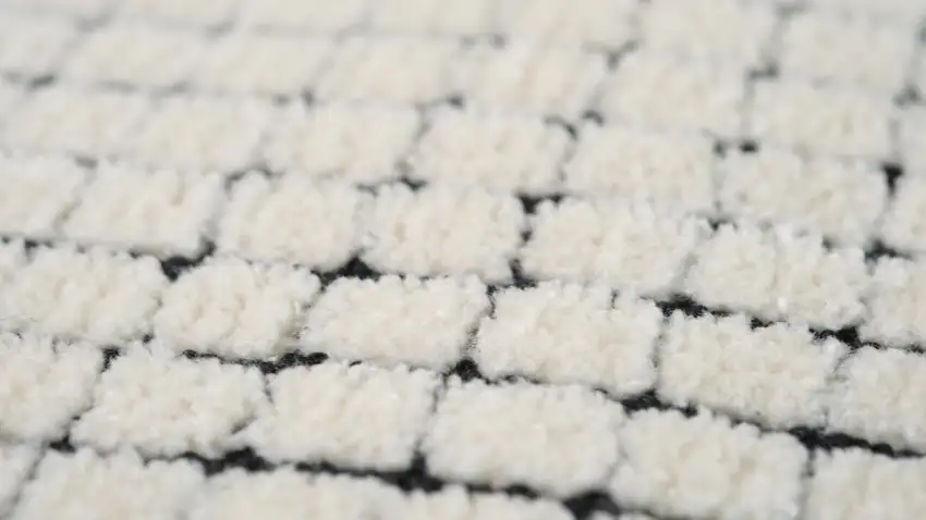 Beige and Black Checkered Power Loom Distressed Area Rug Photo 9