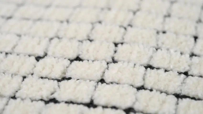 Beige and Black Checkered Power Loom Distressed Area Rug Photo 5