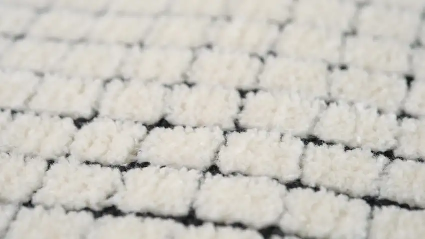 Beige and Black Checkered Power Loom Distressed Area Rug Photo 9