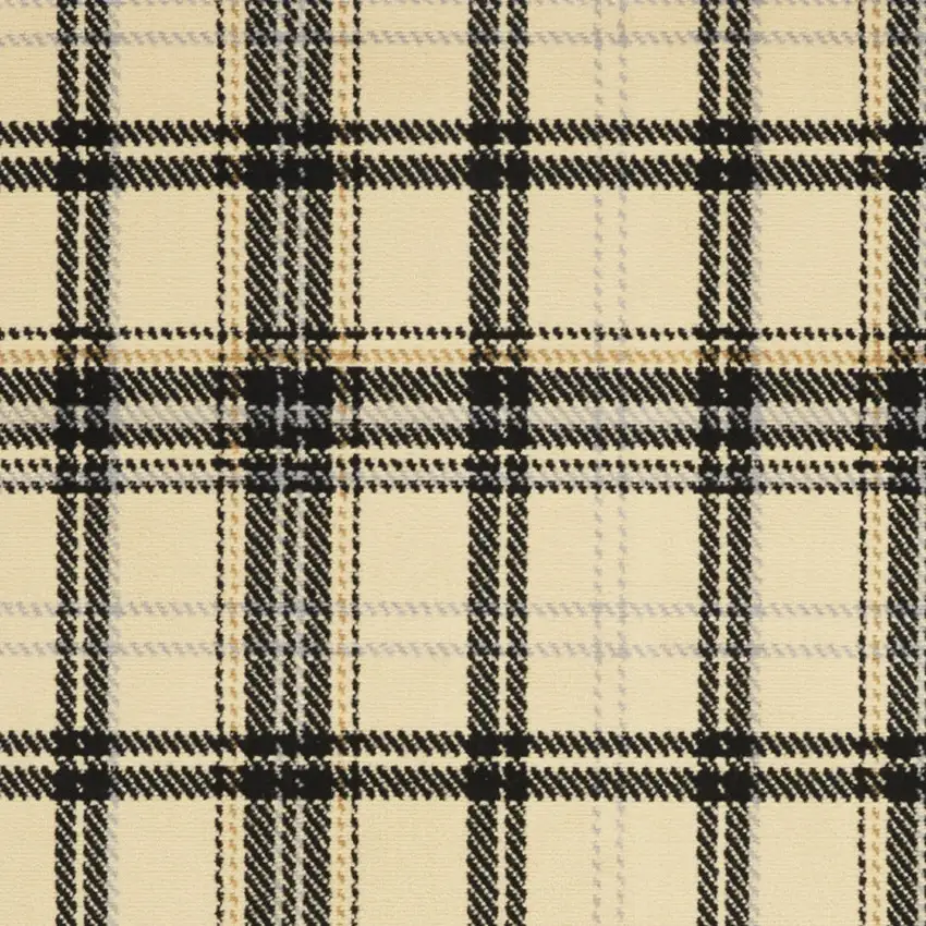 Beige and Black Plaid Power Loom Area Rug Photo 5