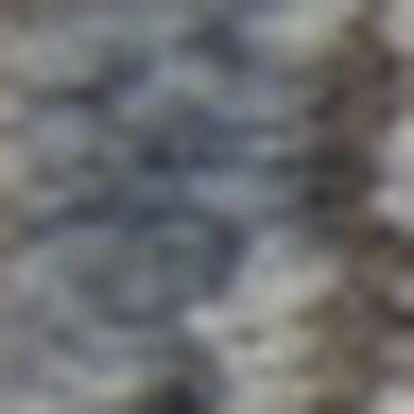 Beige and Blue Floral Medallion Power Loom Area Rug Photo 1