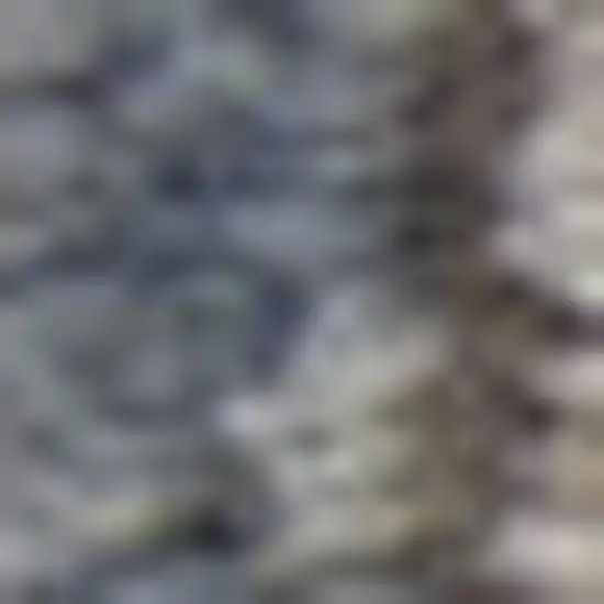 Beige and Blue Floral Medallion Power Loom Area Rug Photo 1