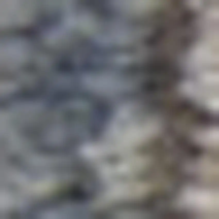 Beige and Blue Floral Medallion Power Loom Area Rug Photo 1