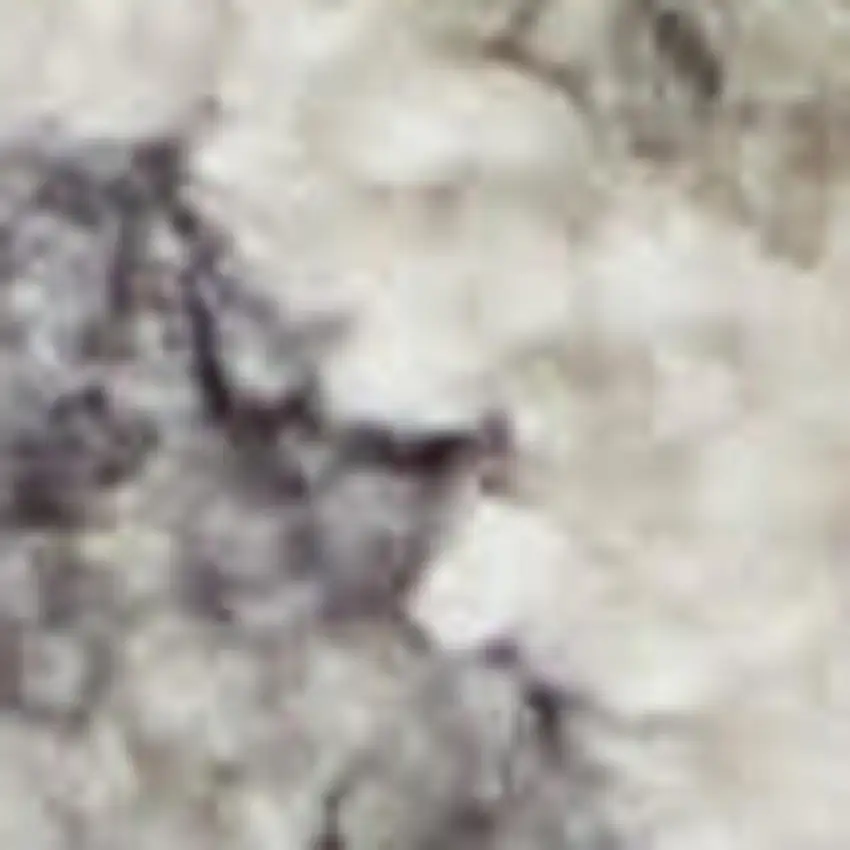 Beige and Blue Floral Power Loom Area Rug Photo 3