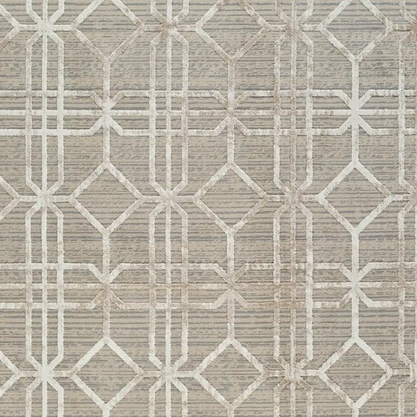 Beige and Brown Abstract Distressed Area Rug Photo 4