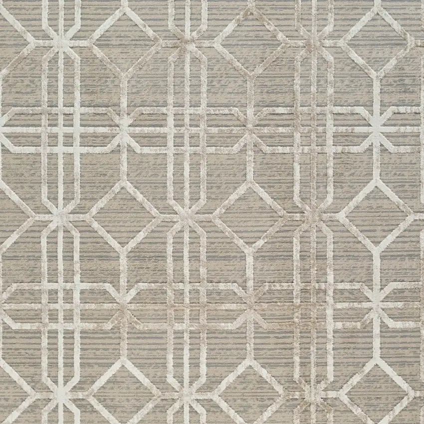 Beige and Brown Abstract Distressed Area Rug Photo 4