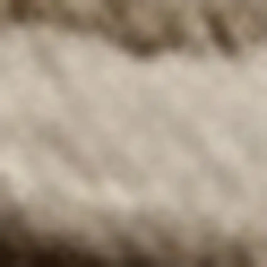 Beige and Brown Abstract Power Loom Distressed Non Skid Area Rug Photo 2