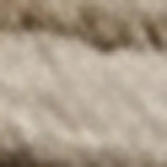 Beige and Brown Abstract Power Loom Distressed Non Skid Area Rug Photo 4