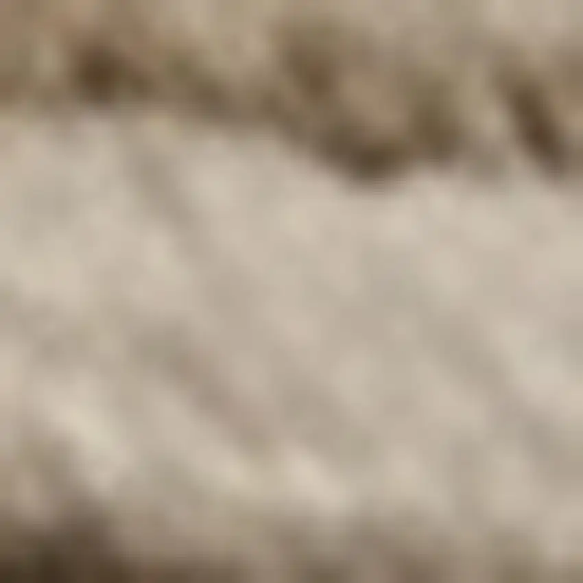Beige and Brown Abstract Power Loom Distressed Non Skid Area Rug Photo 4