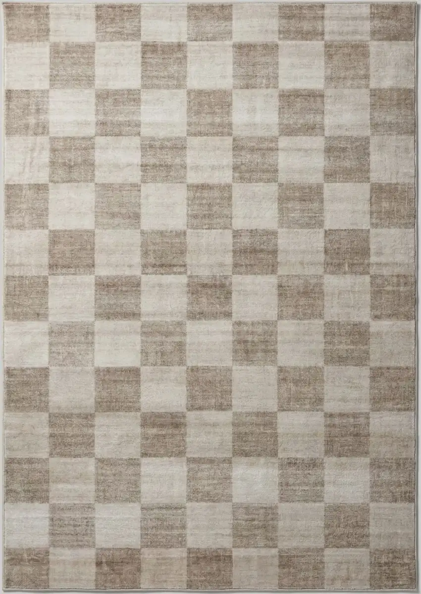 Beige and Brown Checkered Area Rug Photo 3