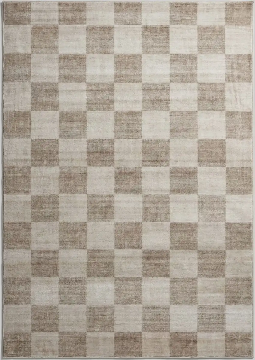 Beige and Brown Checkered Area Rug Photo 4