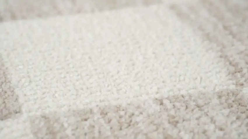 Beige and Brown Checkered Power Loom Area Rug Photo 7