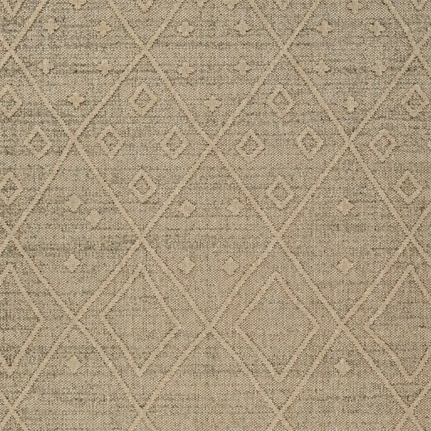 Beige and Brown Geometric Distressed Indoor Outdoor Area Rug Photo 4