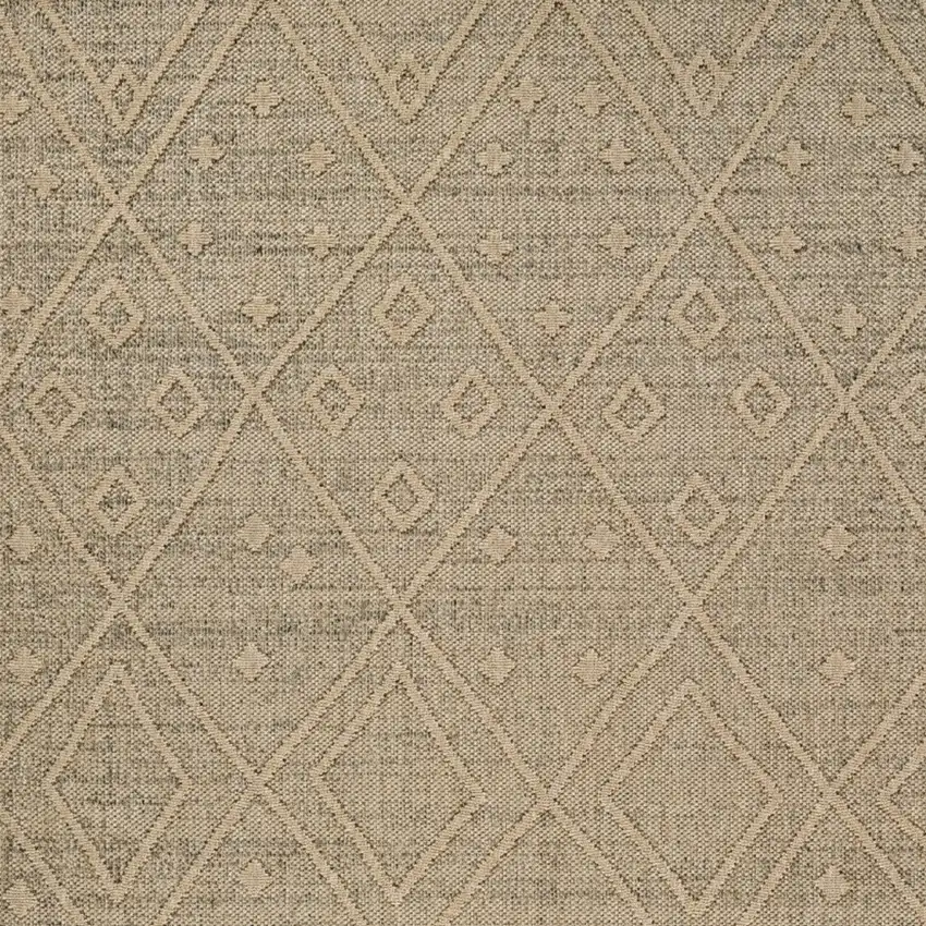 Beige and Brown Geometric Distressed Indoor Outdoor Area Rug Photo 5