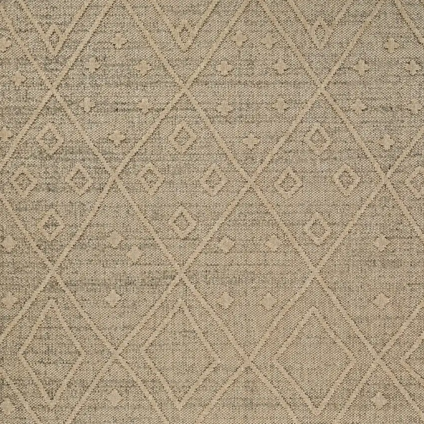 Beige and Brown Geometric Distressed Indoor Outdoor Area Rug Photo 5