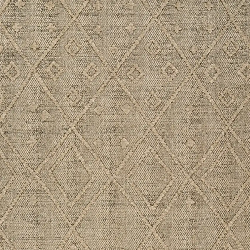 Beige and Brown Geometric Distressed Indoor Outdoor Area Rug Photo 5