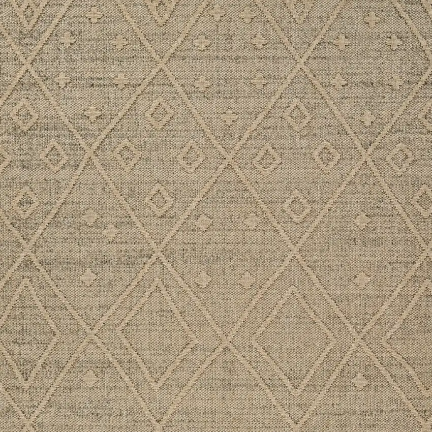 Beige and Brown Geometric Distressed Indoor Outdoor Area Rug Photo 6