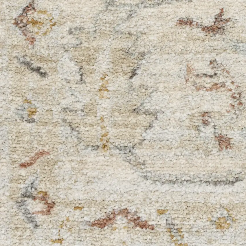 Beige and Brown Oriental Power Loom Distressed Area Rug With Fringe Photo 7