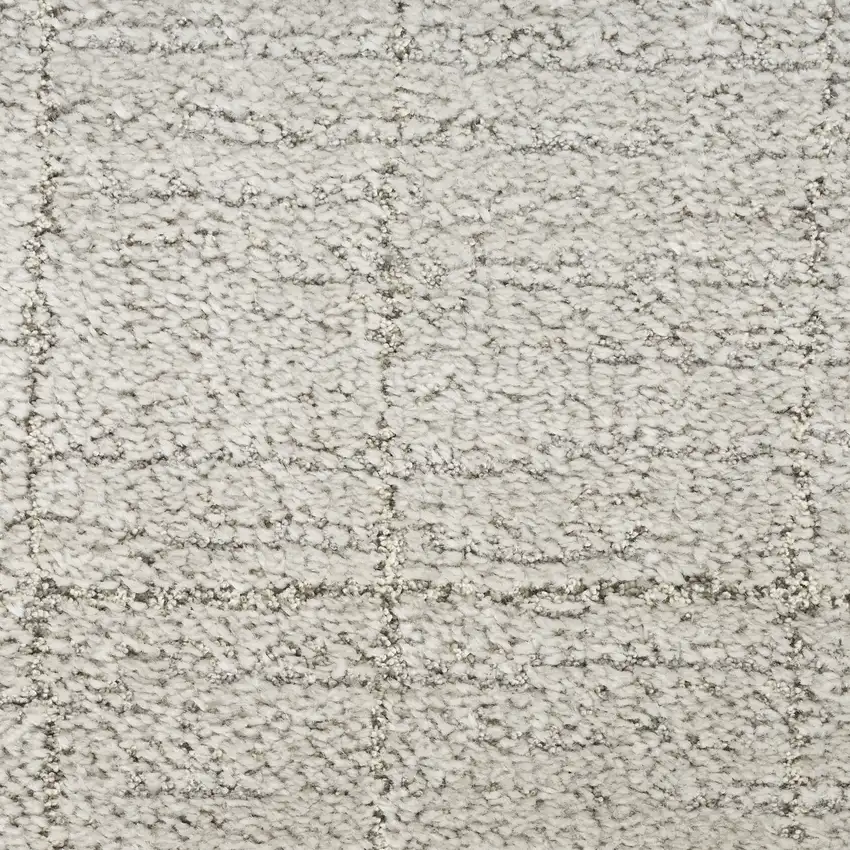 Beige and Gray Abstract Power Loom Area Rug Photo 1