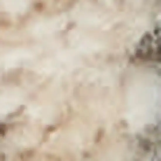 Beige and Gray Abstract Power Loom Area Rug Photo 3