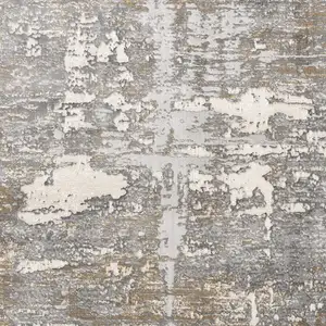 Photo of Beige and Gray Distressed Area Rug