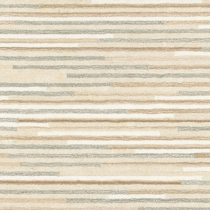 Beige and Gray Eclectic LinesArea Rug Photo 4