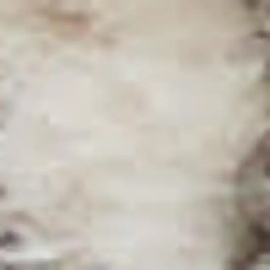 Beige and Gray Medallion Power Loom Distressed Area Rug Photo 1