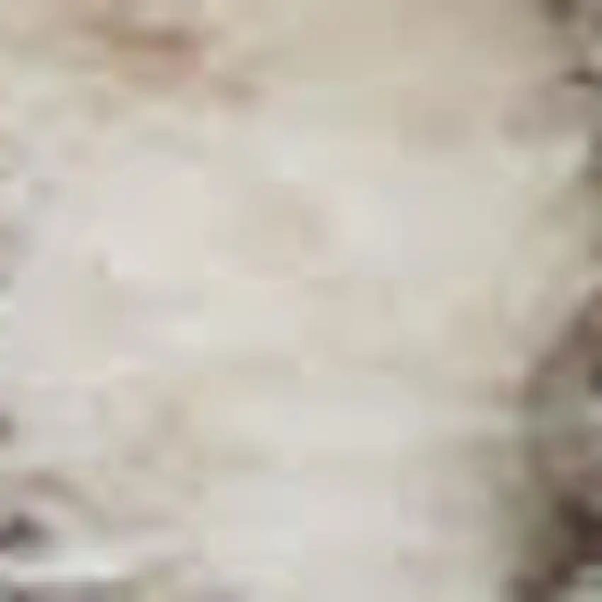 Beige and Gray Medallion Power Loom Distressed Area Rug Photo 1