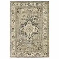 Photo of Beige and Gray Traditional Medallion Indoor Area Rug