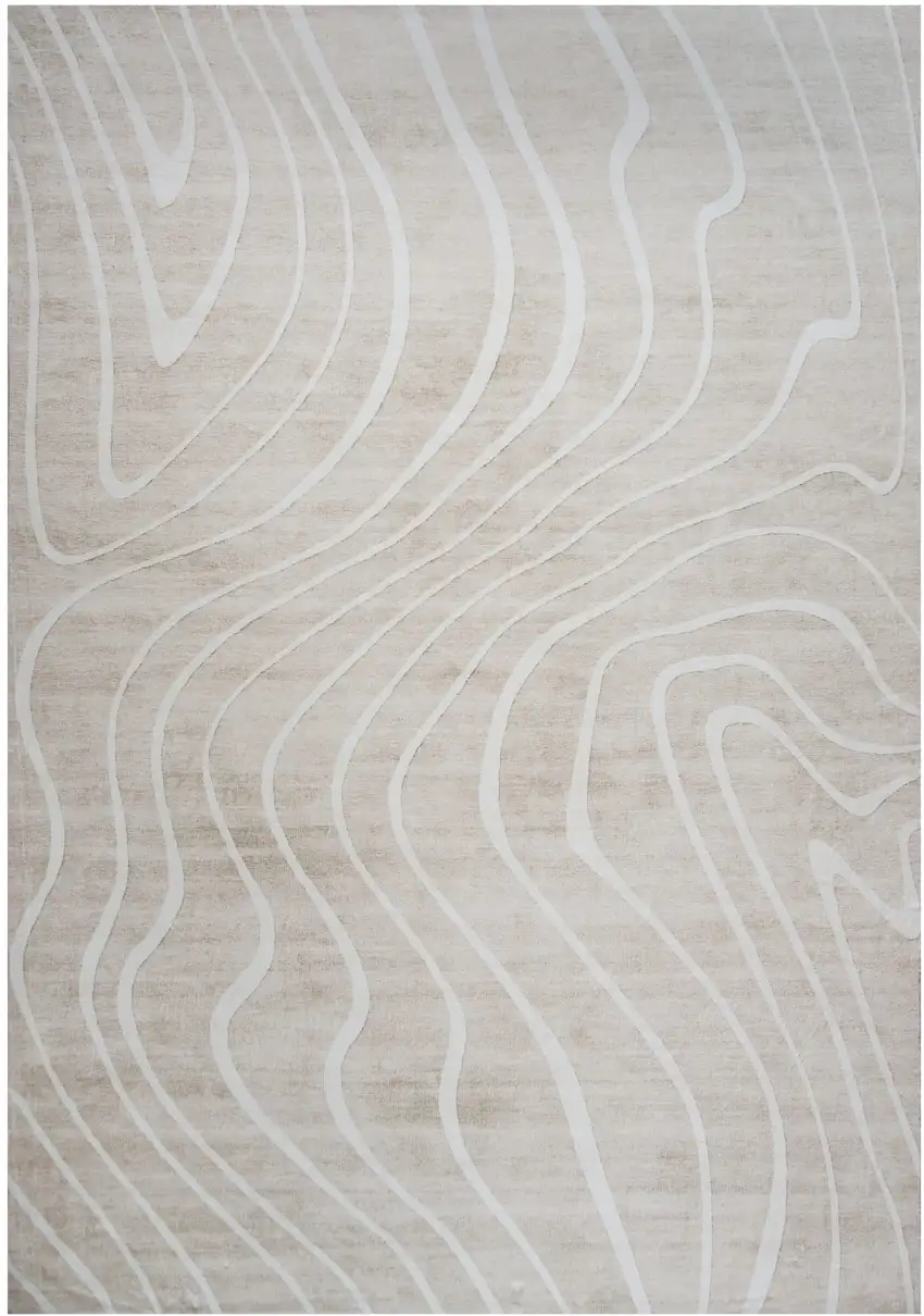 Beige and Ivory Abstract Distressed Area Rug Photo 2
