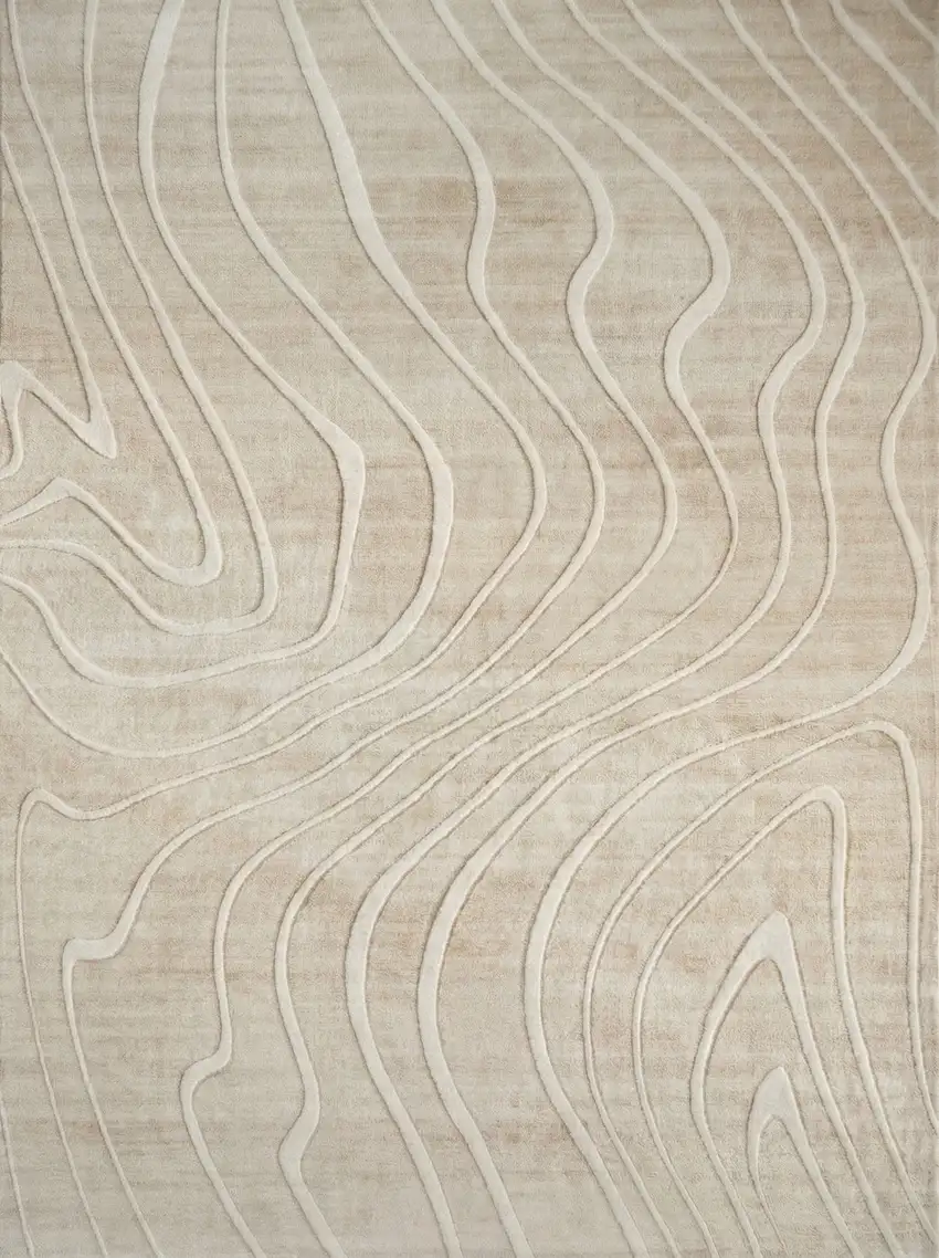 Beige and Ivory Abstract Distressed Area Rug Photo 6