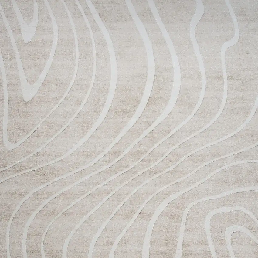 Beige and Ivory Abstract Distressed Area Rug Photo 4