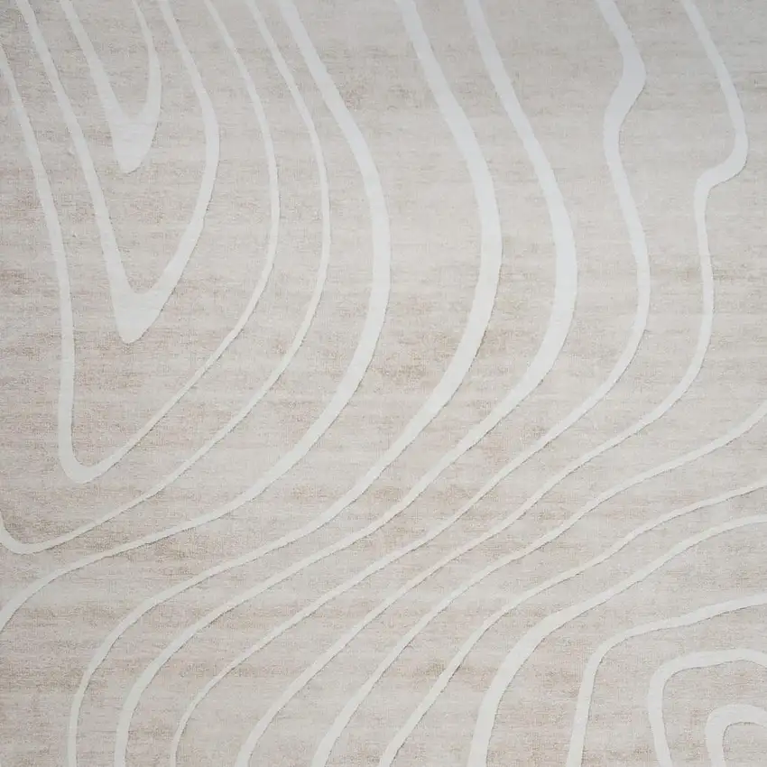 Beige and Ivory Abstract Distressed Area Rug Photo 3