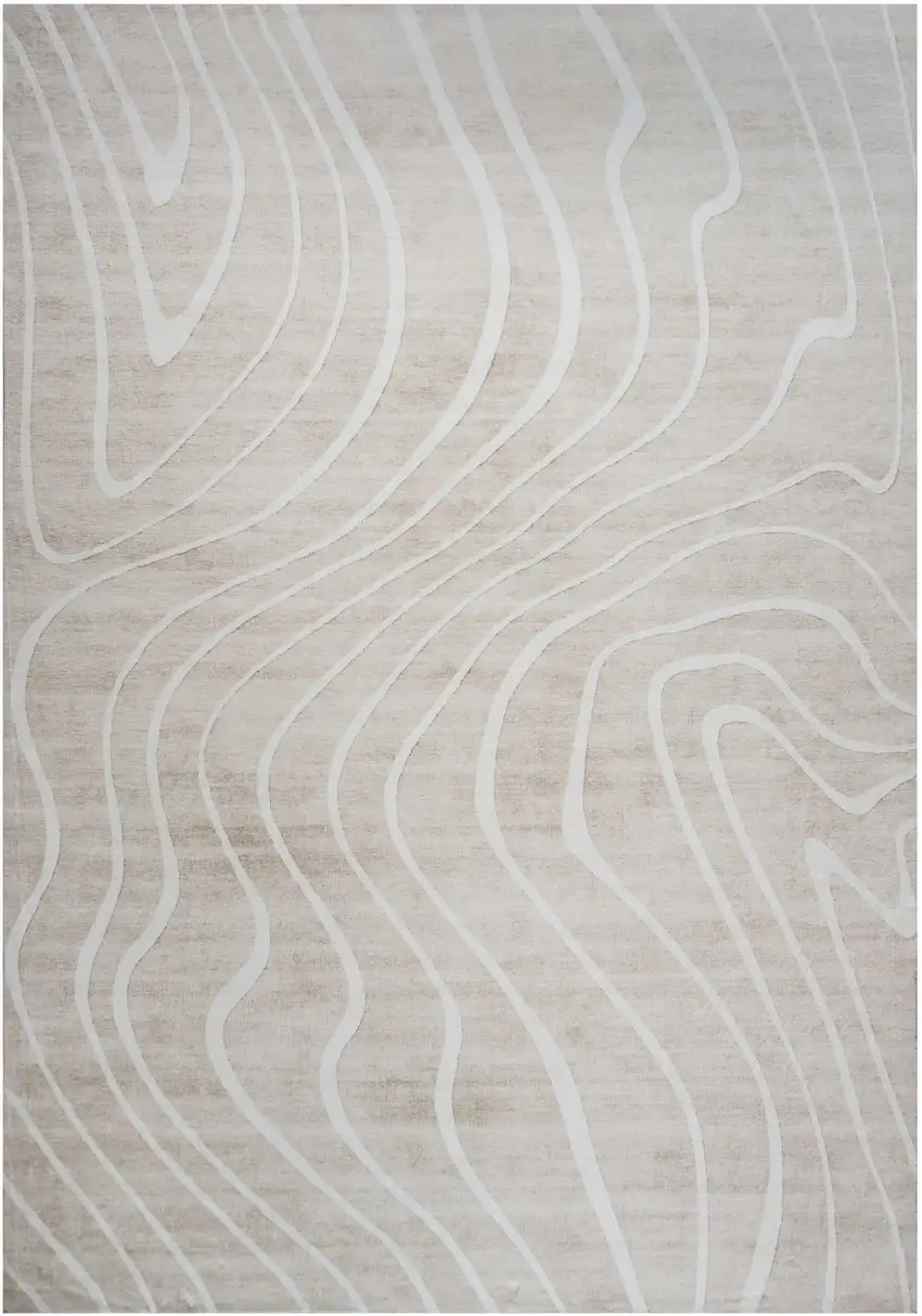 Beige and Ivory Abstract Distressed Area Rug Photo 1