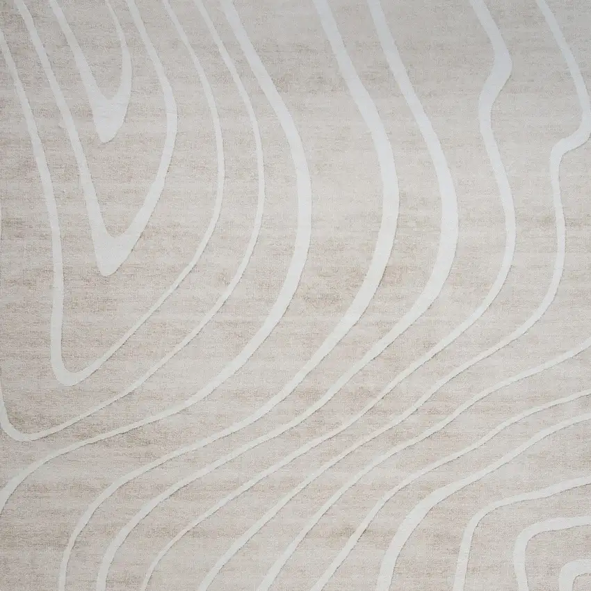 Beige and Ivory Abstract Distressed Area Rug Photo 3