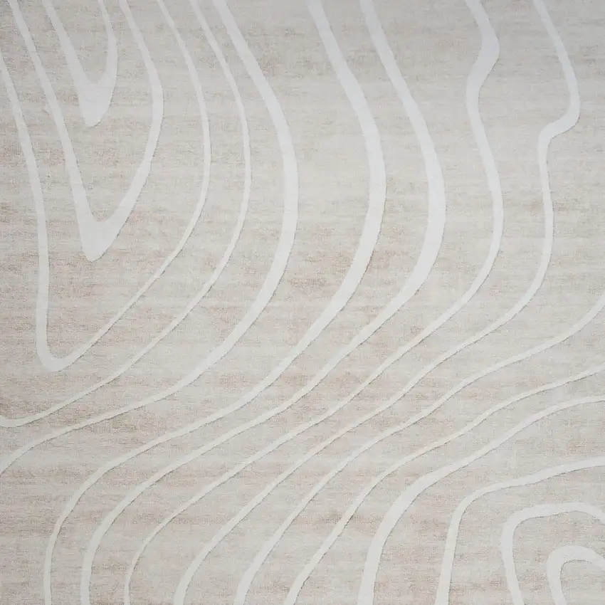Beige and Ivory Abstract Distressed Area Rug Photo 3