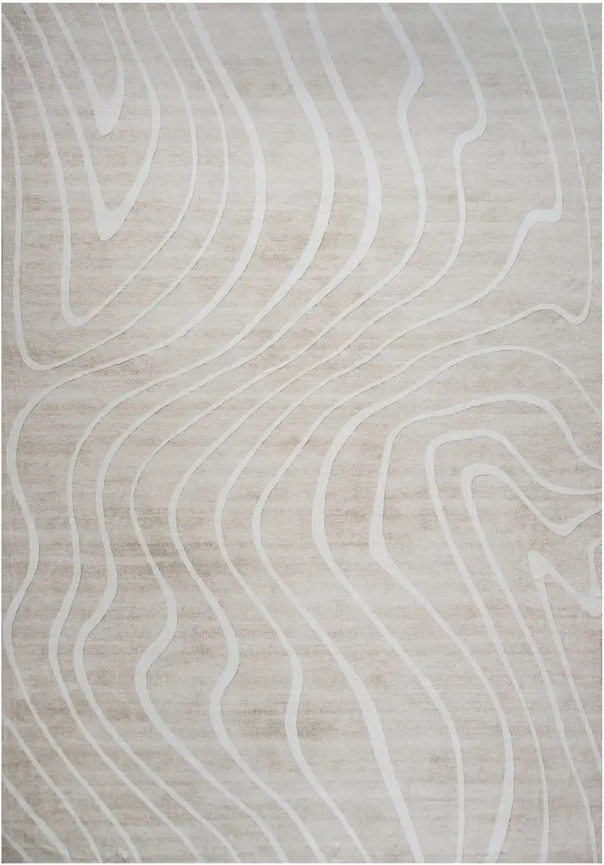 Beige and Ivory Abstract Distressed Area Rug Photo 1
