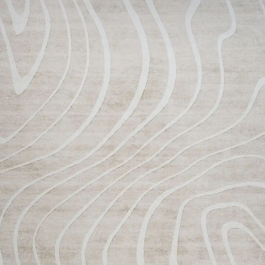 Beige and Ivory Abstract Distressed Area Rug Photo 3
