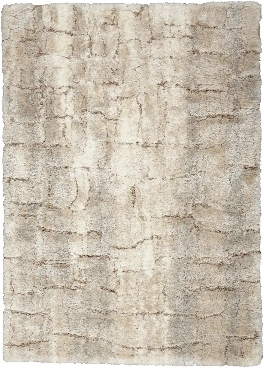 Beige and Ivory Abstract Shag Area Rug Photo 2