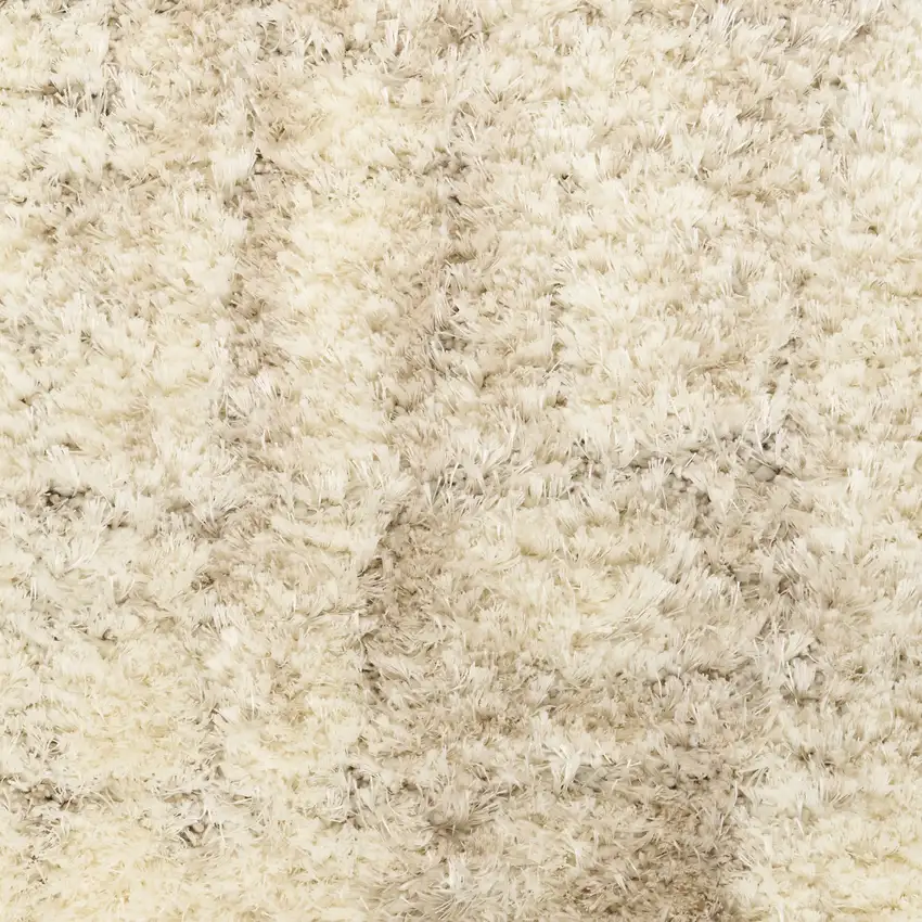Beige and Ivory Abstract Shag Area Rug Photo 4