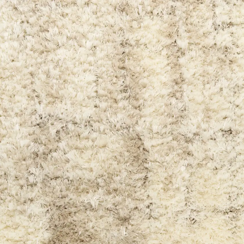 Beige and Ivory Abstract Shag Area Rug Photo 6