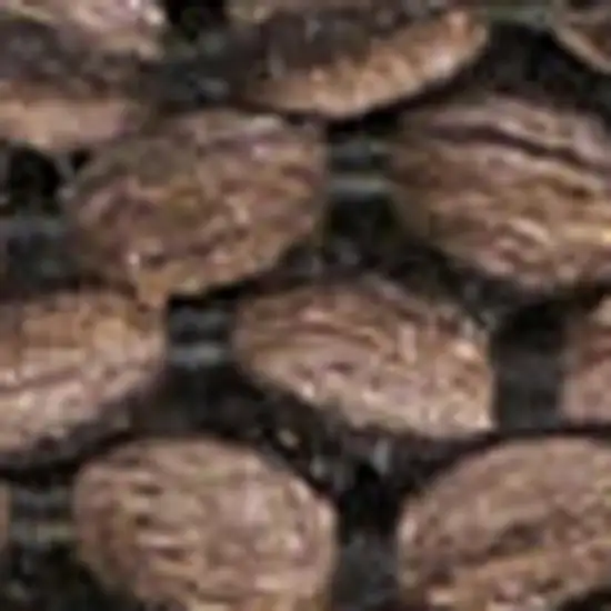 Beige and Ivory Damask Distressed Non Skid Area Rug Photo 1