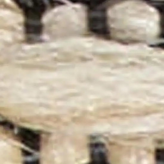 Beige and Ivory Damask Distressed Non Skid Area Rug Photo 3