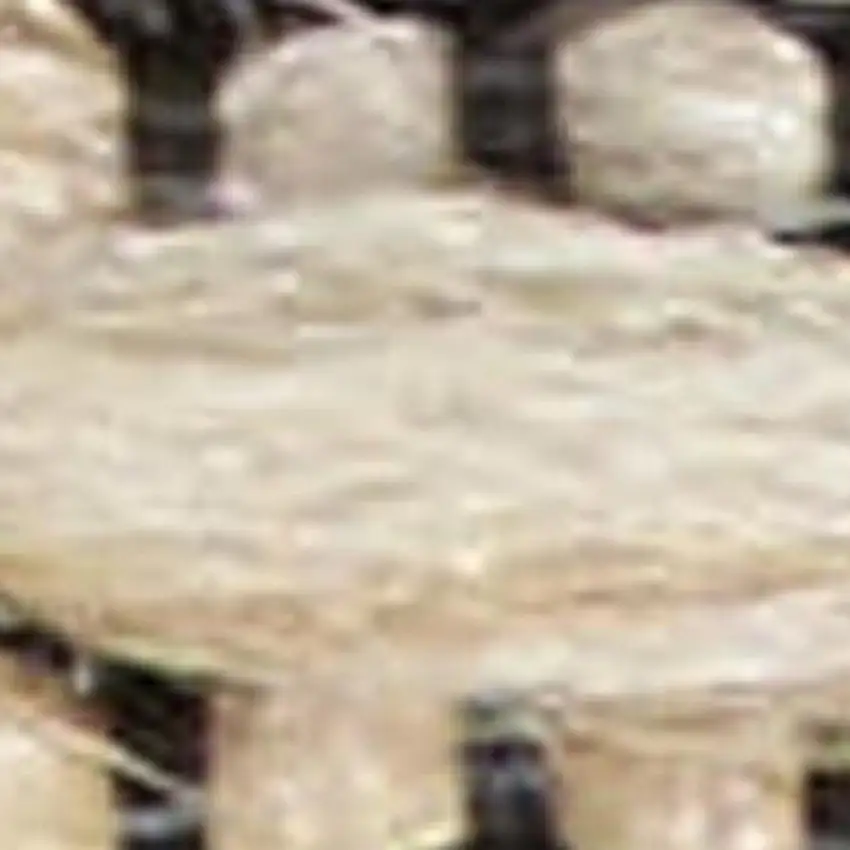 Beige and Ivory Damask Distressed Non Skid Area Rug Photo 3