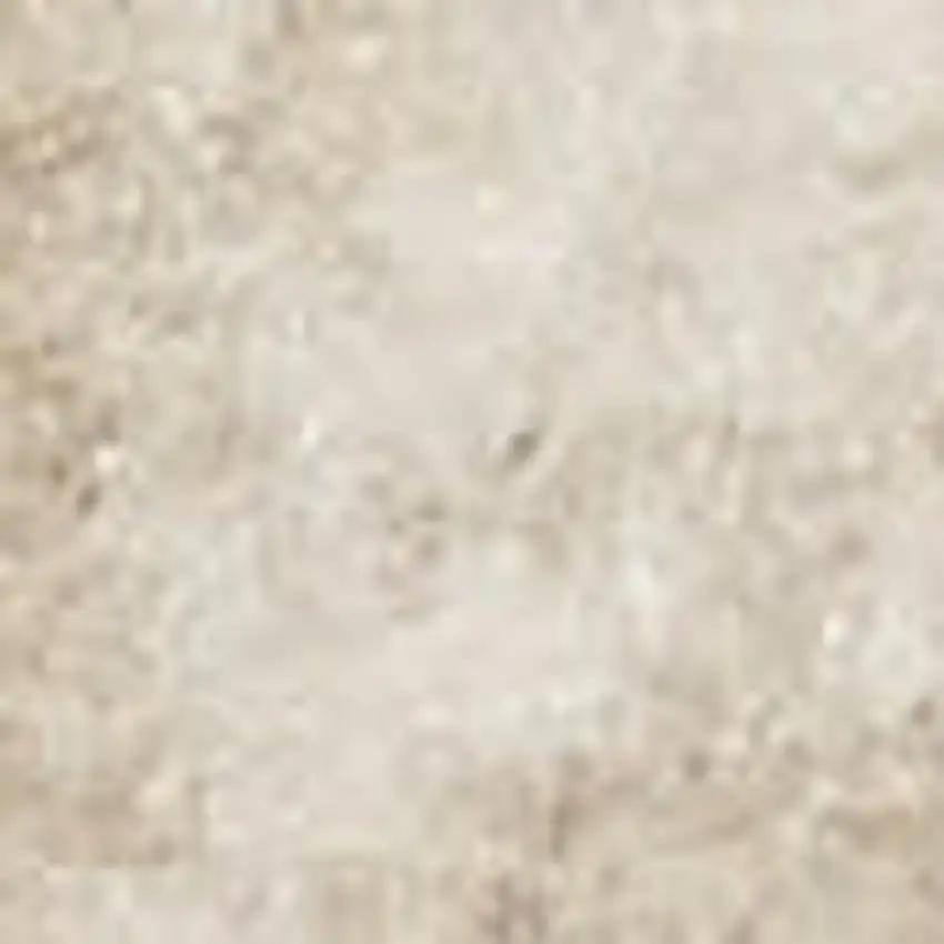 Beige and Ivory Floral Area Rug Photo 3
