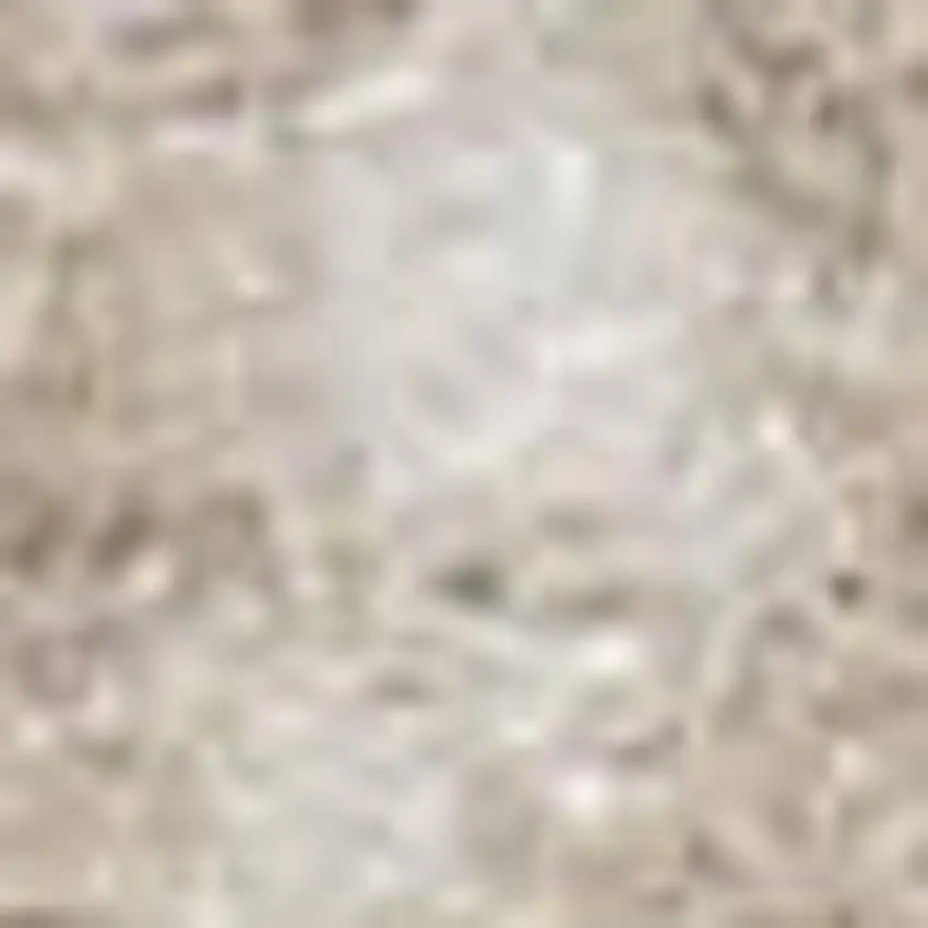 Beige and Ivory Floral Power Loom Area Rug Photo 1