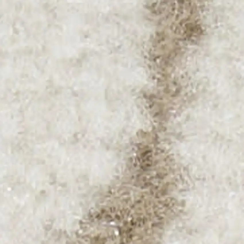 Beige and Ivory Floral Power Loom Area Rug Photo 1