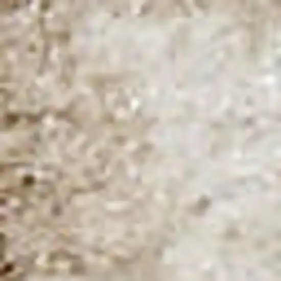 Beige and Ivory Medallion Power Loom Distressed Area Rug Photo 1